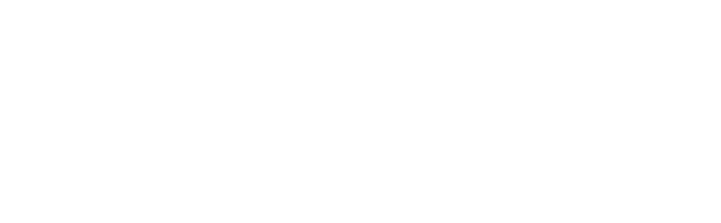 Shiny Wilds Casino logo